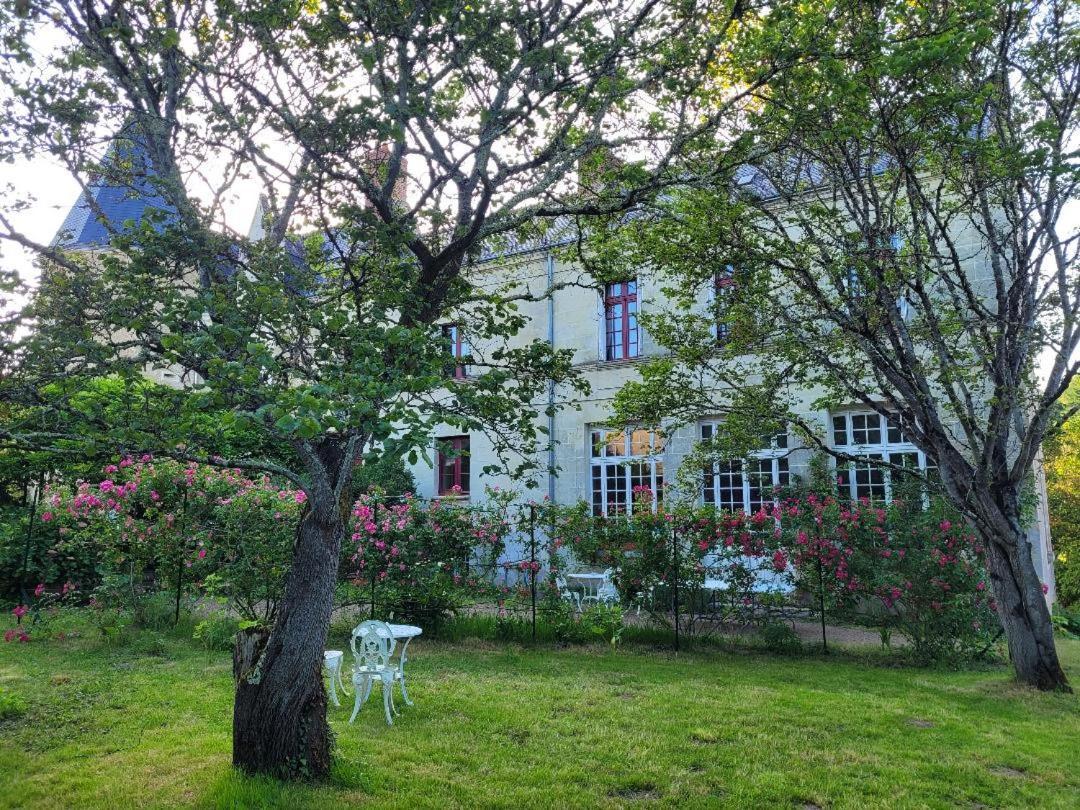 Castel Saint Laurent Langeais Ngoại thất bức ảnh